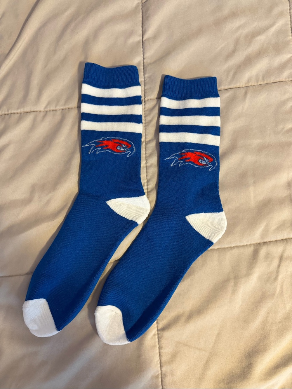 Umass Lowell Men's Socks